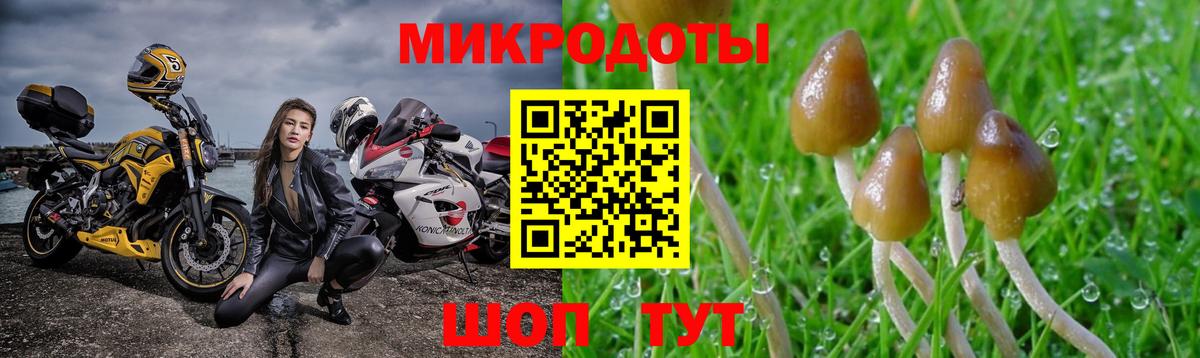 Галлюциногенные грибы мицелий Дедовск